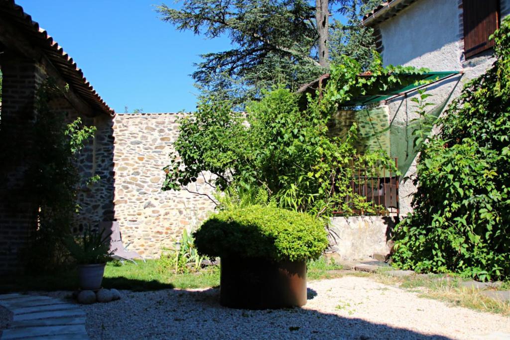 La Ferme Ranc - Gite Le Cosy Gagnières Exteriör bild